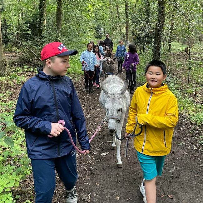 Kick Off Kamp Wandelen met ezels